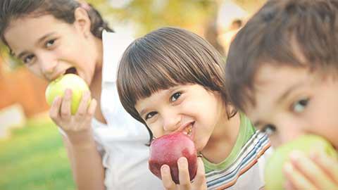 Nutrientes esenciales. Etapa 4 a 5 años.