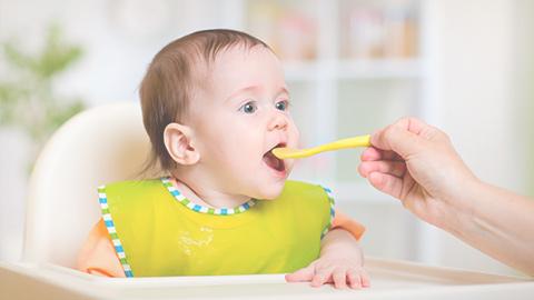 Cuestionario Introducción a los alimentos sólidos