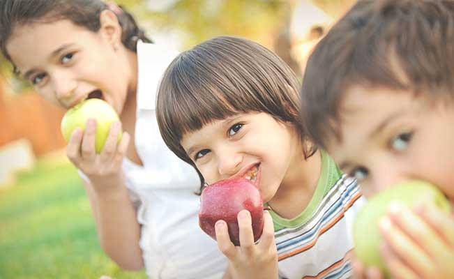 Nutrientes esenciales. Etapa 4 a 5 años.