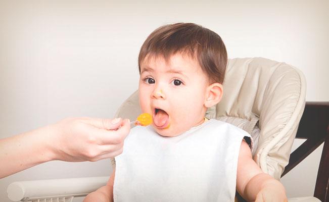 La alimentación durante los primeros 6 meses de vida